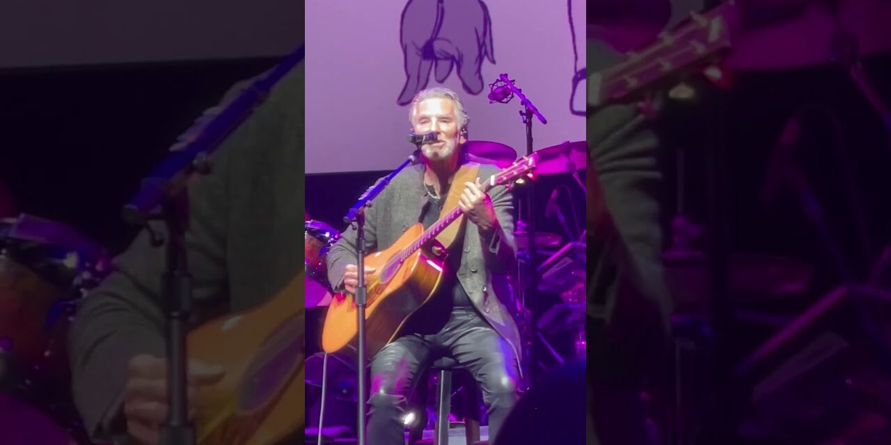 Let’s Return to Pooh Corner